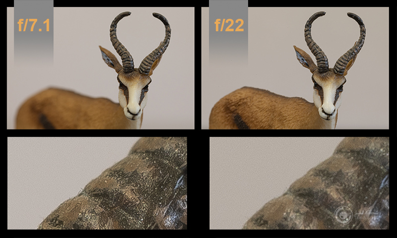 دیافراگم B 13