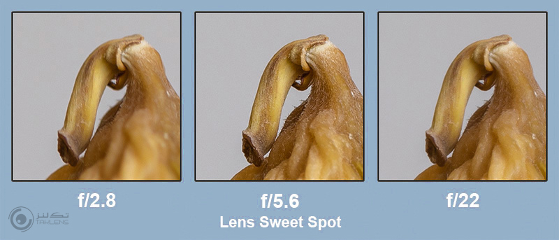 دیافراگم B 14