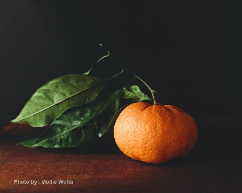 انواع نور 14