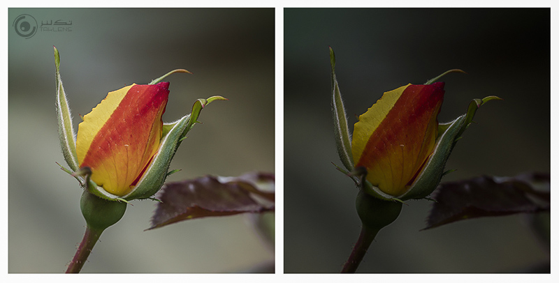 انواع نور 15