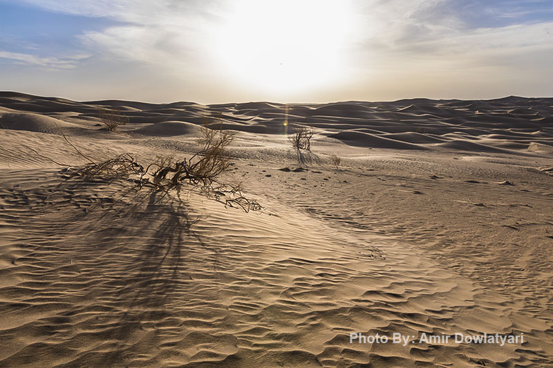 تعویض لنز 15