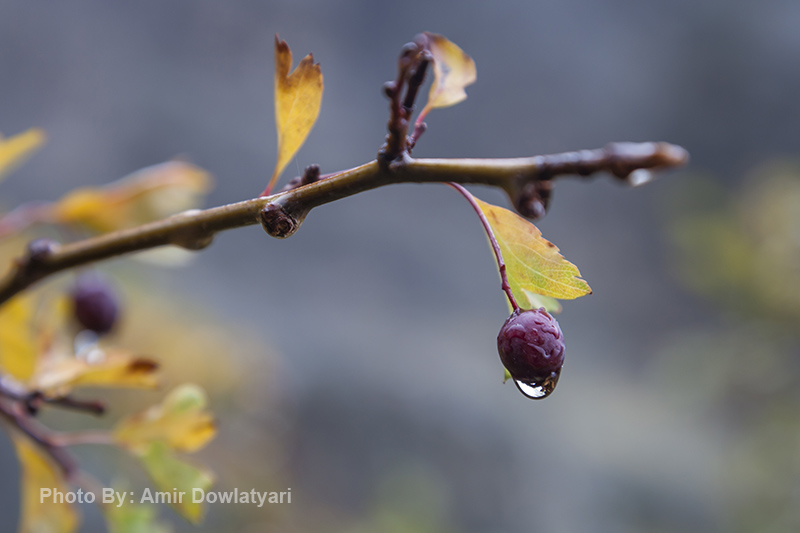 تعویض لنز 16