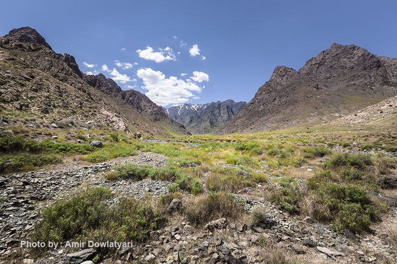 هایپرفوکال 9