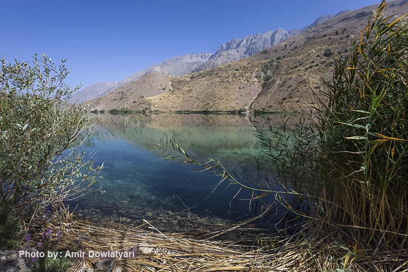 هایپرفوکال 15