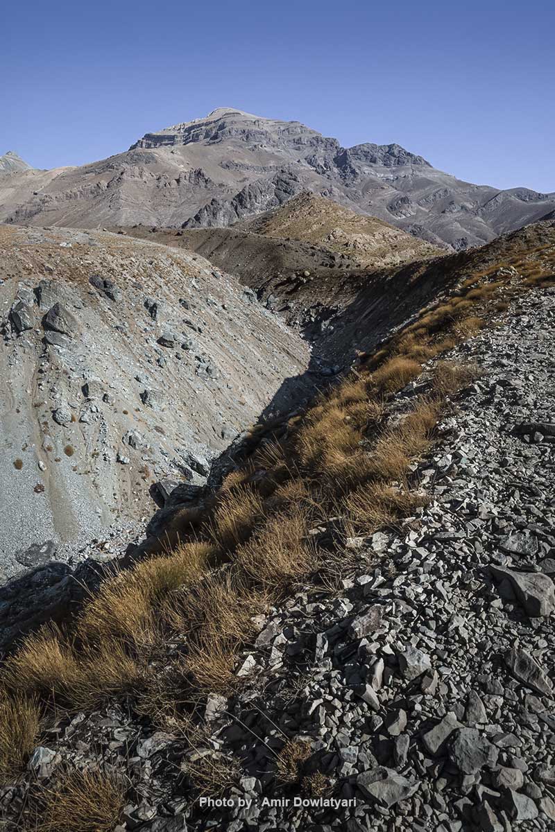 هایپرفوکال 16