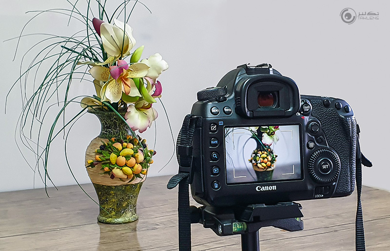 فوکوس شیفت 6