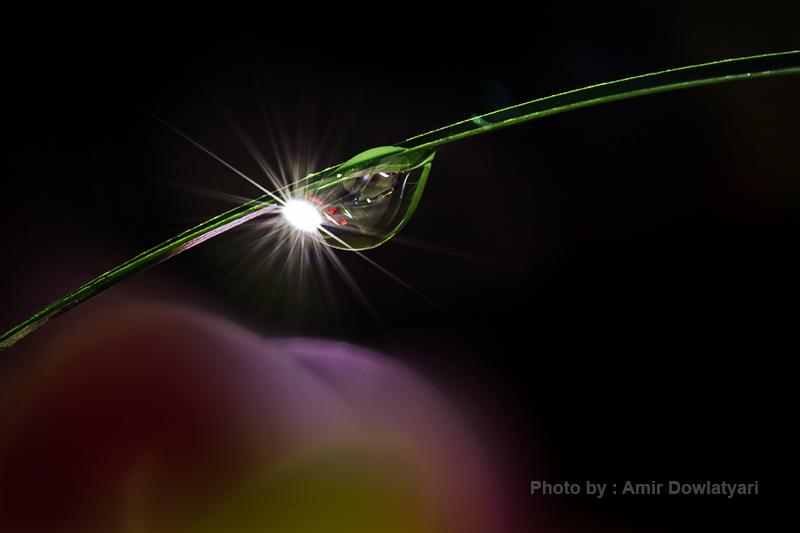 اثر ستاره 12