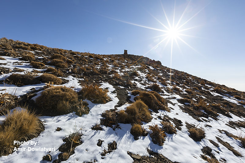 اثر ستاره 14