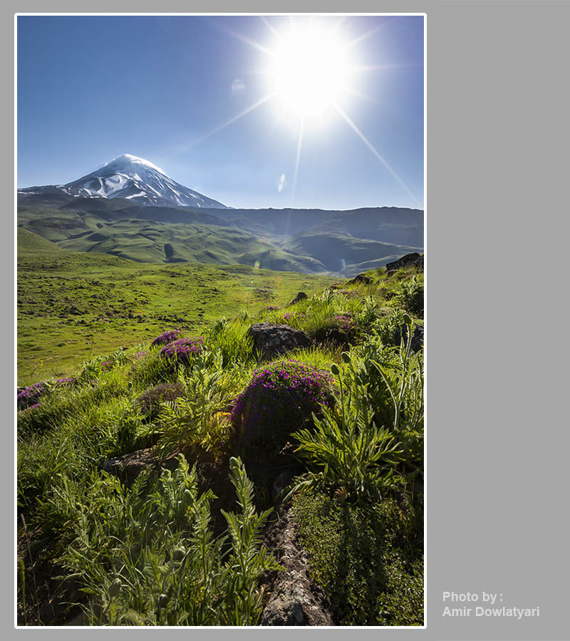 اثر ستاره 19