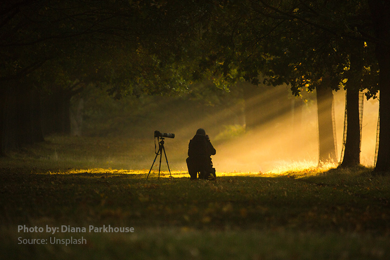 ثبات سه پایه 2