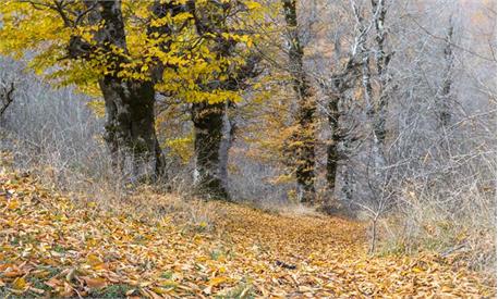 استفاده رنگ 14