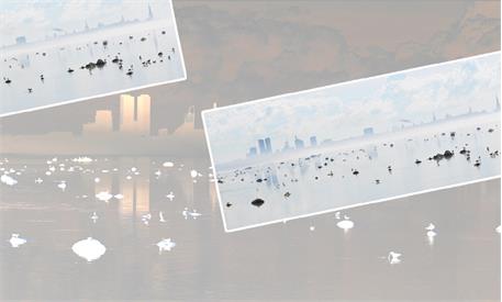 پانورامیک 22