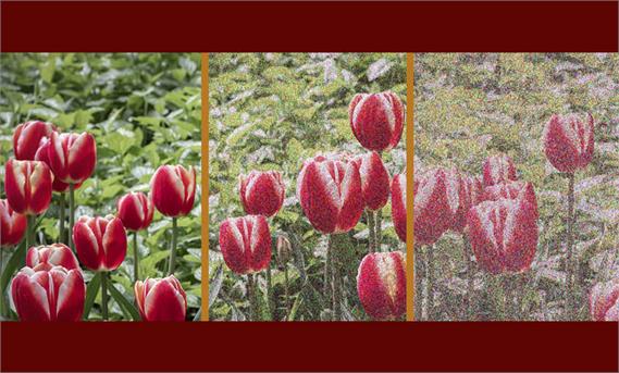 کاربرد های ISO  خودکار 
Auto ISO