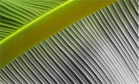 عناصر پایه 3 17