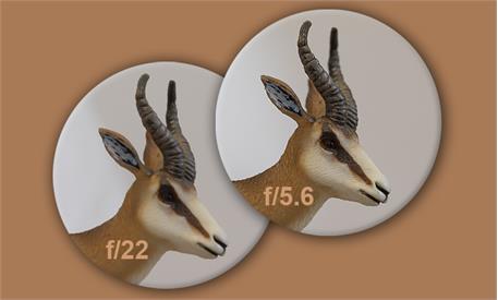 پراش نوری 19