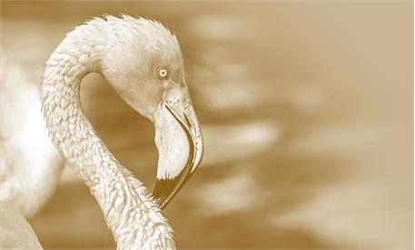 زوم دیجیتال 15