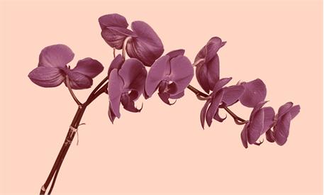 نقطه مطلوب 16