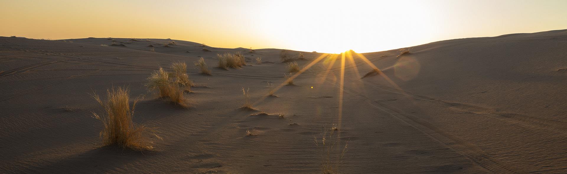 شراره نوری در عکاسی <br>Lens Flare