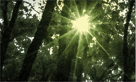 اثر ستاره 21